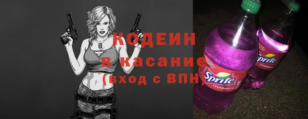 твердый Алексеевка
