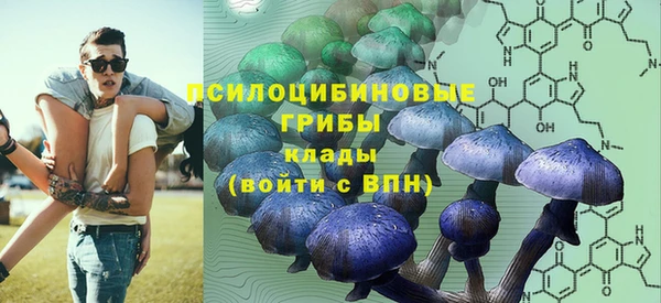 твердый Алексеевка