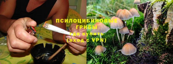 каннабис Алзамай